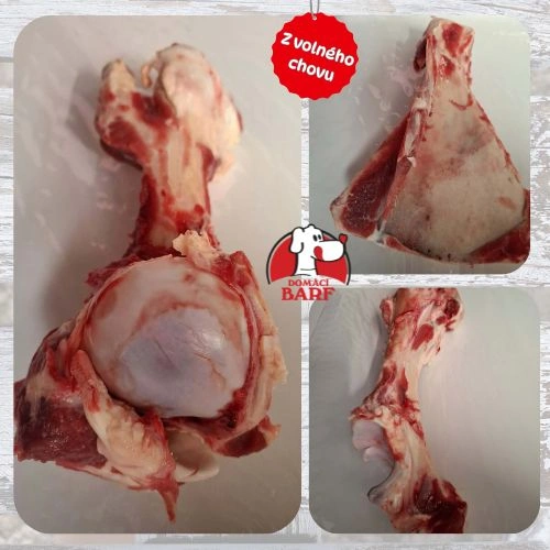 Farmářské hovězí kosti – kusové (1,1-2,5 kg)-kloubové, lopatkové
